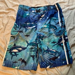 Kids Medium (8) Shark Swim Suit